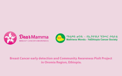 Breast Cancer Early Detection and Community Awareness Pilot Project